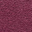 131 raspberry